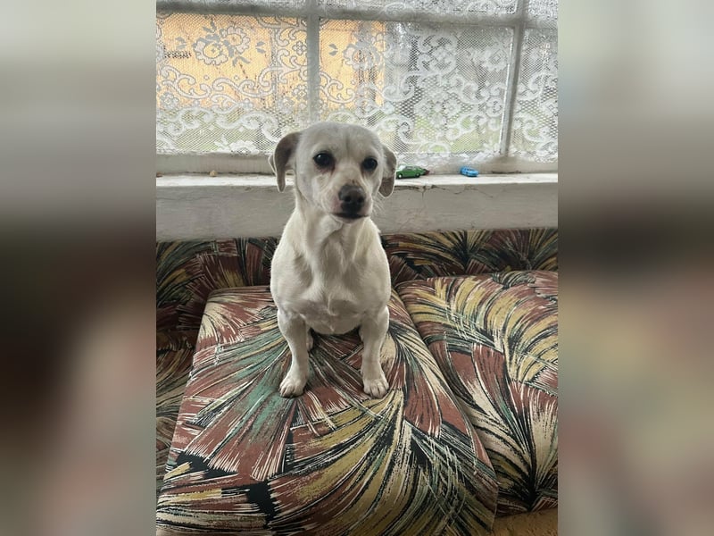 Vanilla, geboren 01.2023, 32cm sucht liebevolles Zuhause