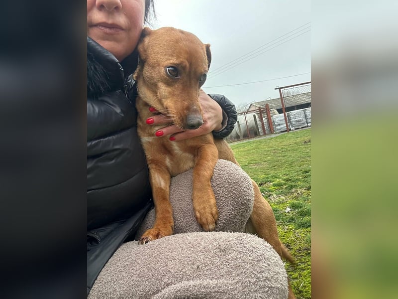 Bubu, geboren 10.05.2025, 35cm sucht Familienanschluss