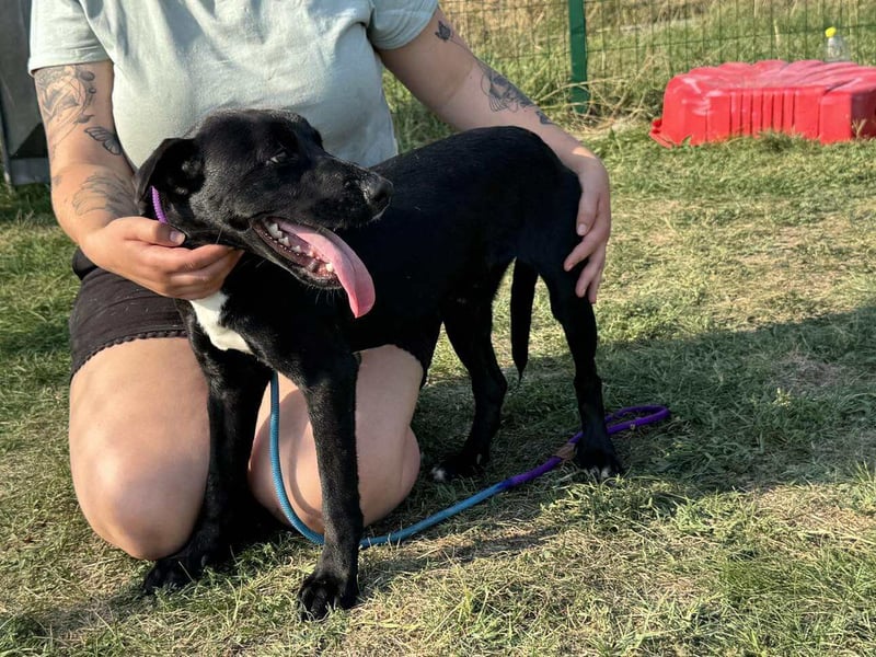 Anton, geboren 25.12.2024, 42cm sucht seine Menschen