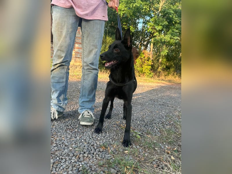 Frutti, geboren 10.12.2024, 41cm sucht ihr Zuhause