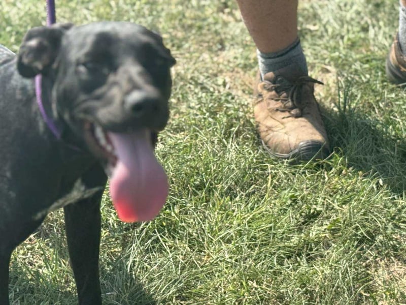 Hetty, geboren 25.01.2025, 42cm sucht ihre Familie