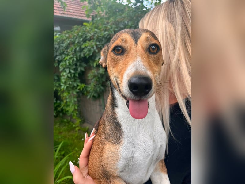 Inez, geboren 02.04.2024, 30cm sucht ihr Zuhause