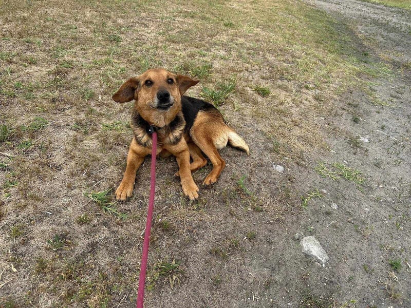 Tobi, geboren 01.04.2020, 40cm sucht sein Körbchen