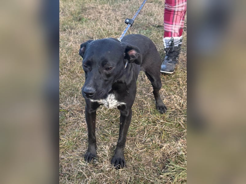 Hetty, geboren 25.01.2025, 42cm sucht ihre Familie