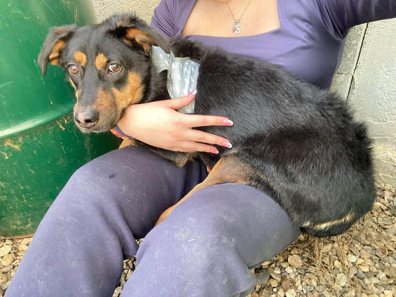 Kleine, schüchterne Rica sucht liebe Menschen