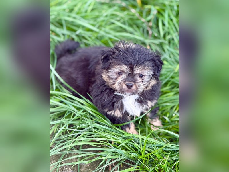 LILU - Neugieriges Mädchen möchte die Welt entdecken