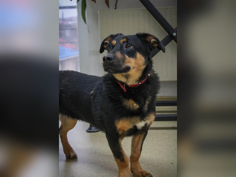 Kleine, schüchterne Rica sucht liebe Menschen