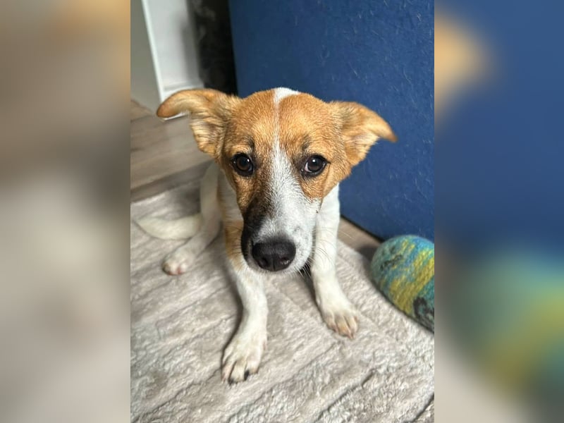 TIA - Kleines Mädchen möchte ihr Köfferchen auspacken und ankommen