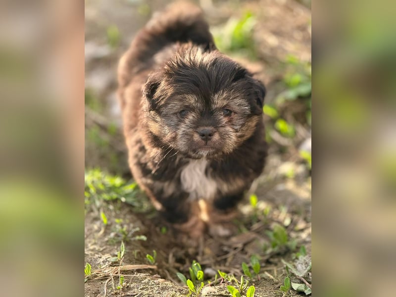 LILU - Neugieriges Mädchen möchte die Welt entdecken