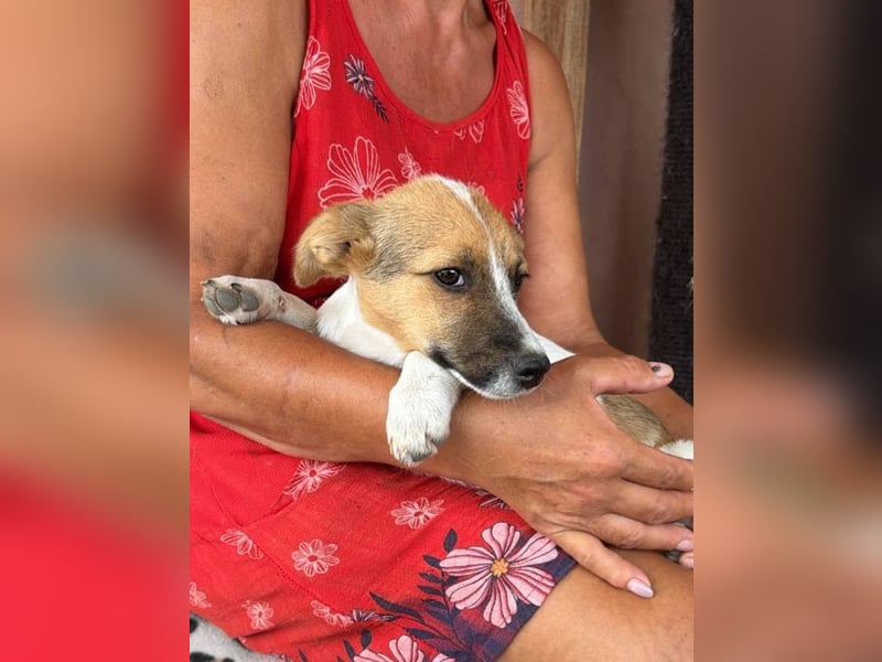 TIA - Kleines Mädchen möchte ihr Köfferchen auspacken und ankommen