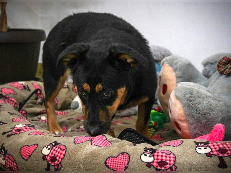 Kleine, schüchterne Rica sucht liebe Menschen