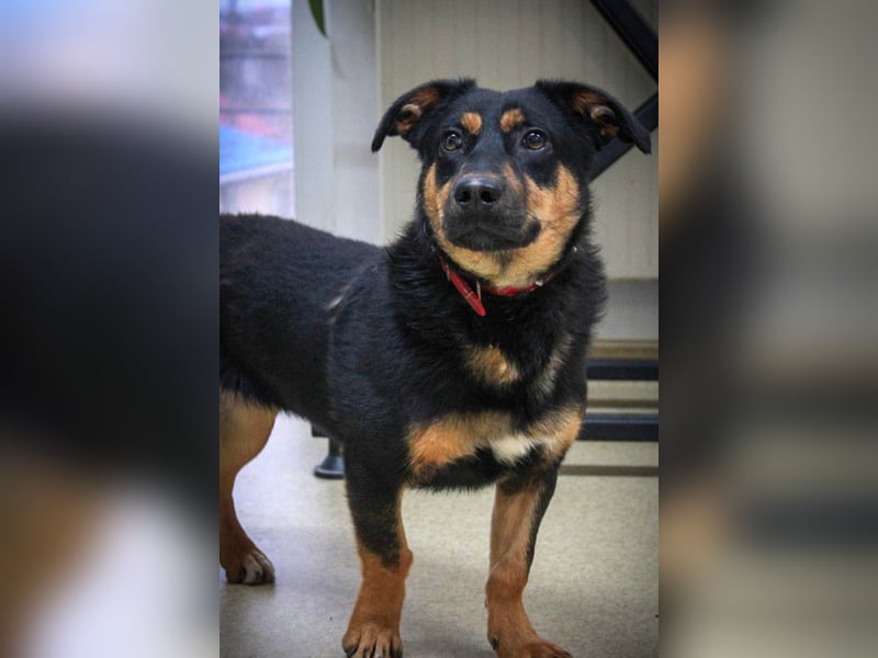 Kleine, schüchterne Rica sucht liebe Menschen