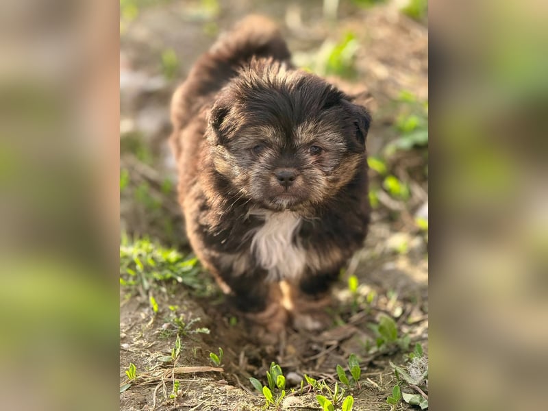 LILU - Neugieriges Mädchen möchte die Welt entdecken