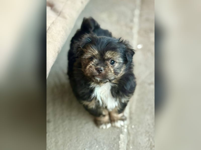 LILU - Neugieriges Mädchen möchte die Welt entdecken