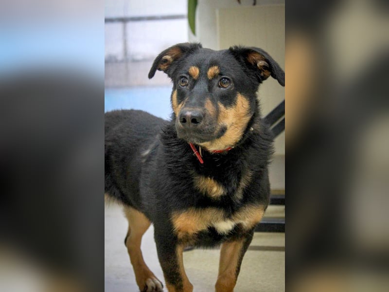 Kleine, schüchterne Rica sucht liebe Menschen