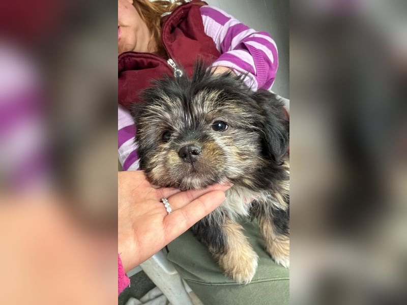 LILU - Neugieriges Mädchen möchte die Welt entdecken