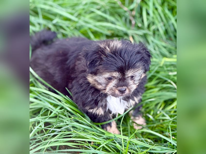 LILU - Neugieriges Mädchen möchte die Welt entdecken