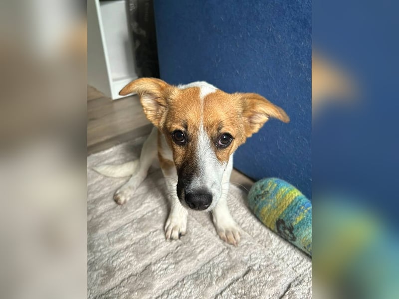 TIA - Kleines Mädchen möchte ihr Köfferchen auspacken und ankommen