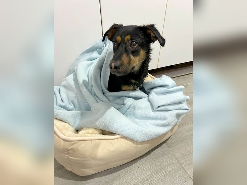 Kleine, schüchterne Rica sucht liebe Menschen