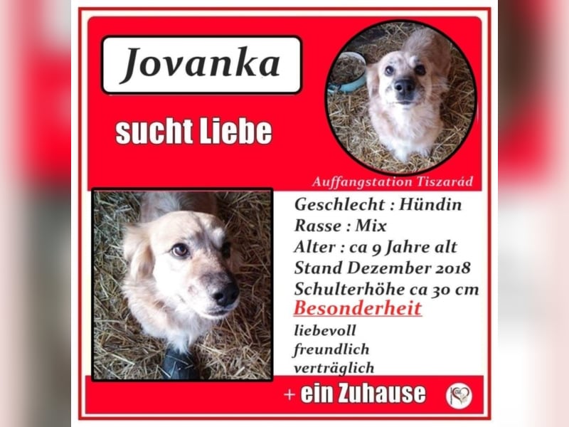 Jovanka