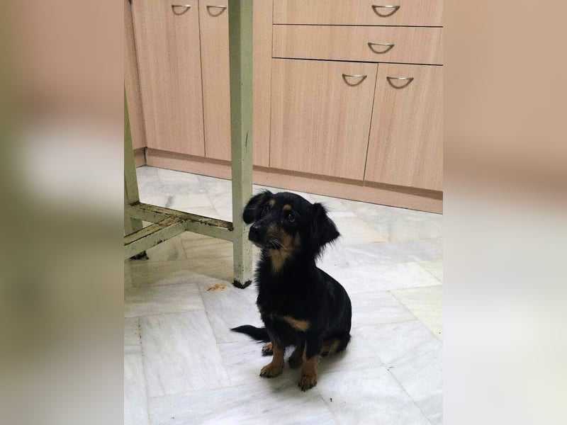 Aili ist bereit für ein neues Leben!