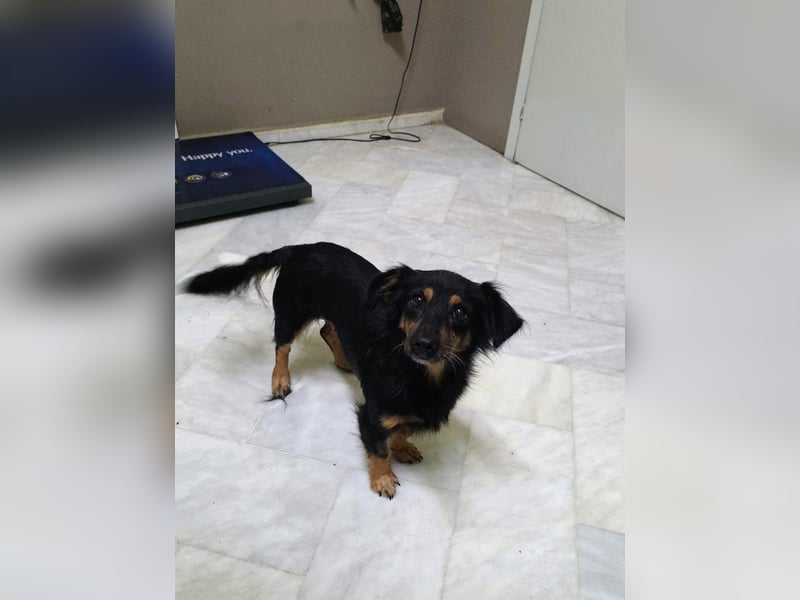 Aili ist bereit für ein neues Leben!