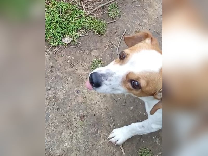 Diana sucht ihre Herzmenschen