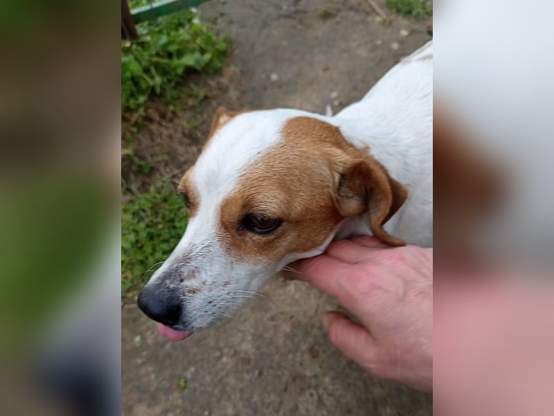 Diana sucht ihre Herzmenschen