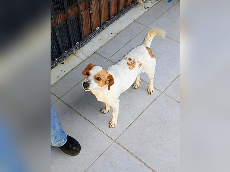 Diana sucht ihre Herzmenschen