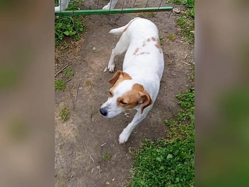 Diana sucht ihre Herzmenschen