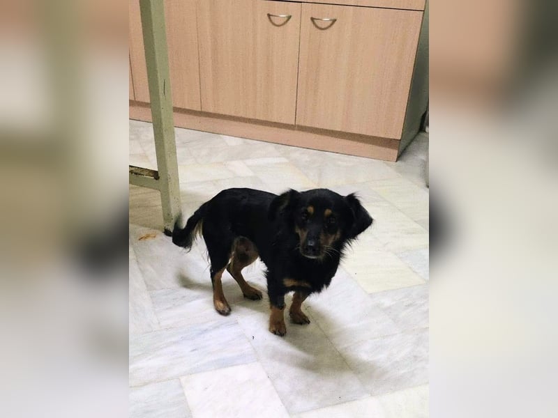 Aili ist bereit für ein neues Leben!