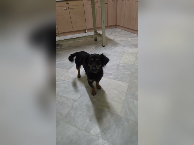 Aili ist bereit für ein neues Leben!