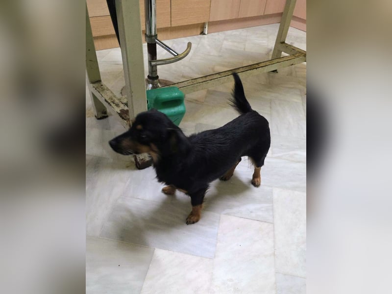 Aili ist bereit für ein neues Leben!