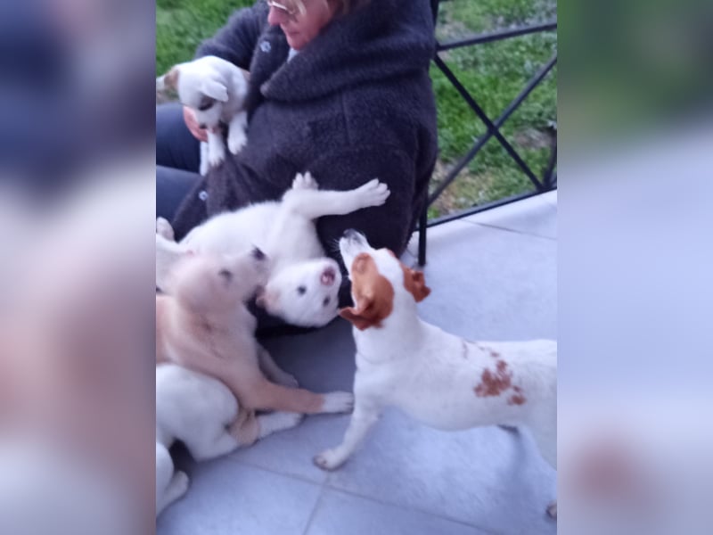 Diana sucht ihre Herzmenschen