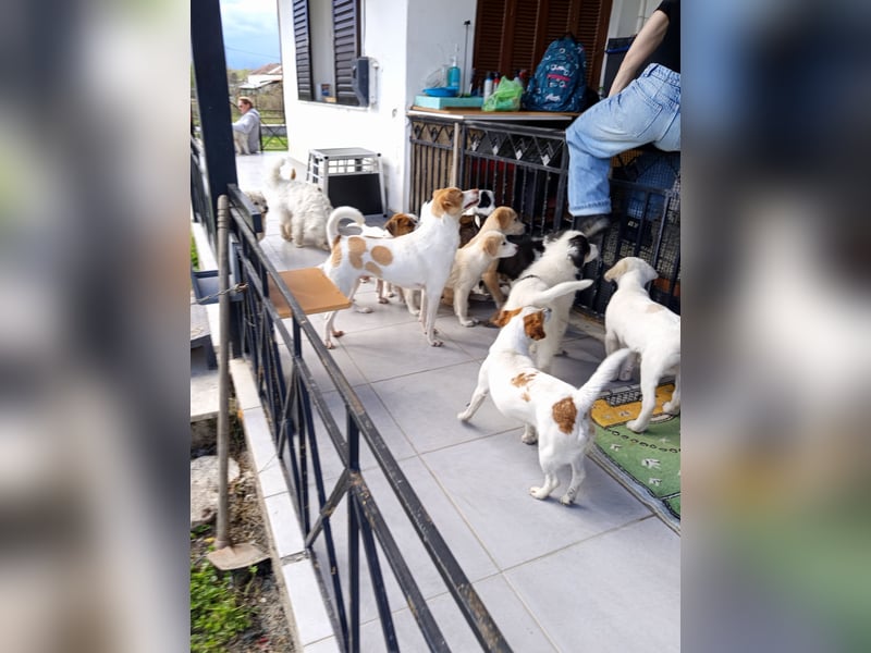 Diana sucht ihre Herzmenschen