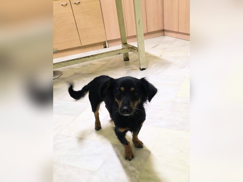 Aili ist bereit für ein neues Leben!