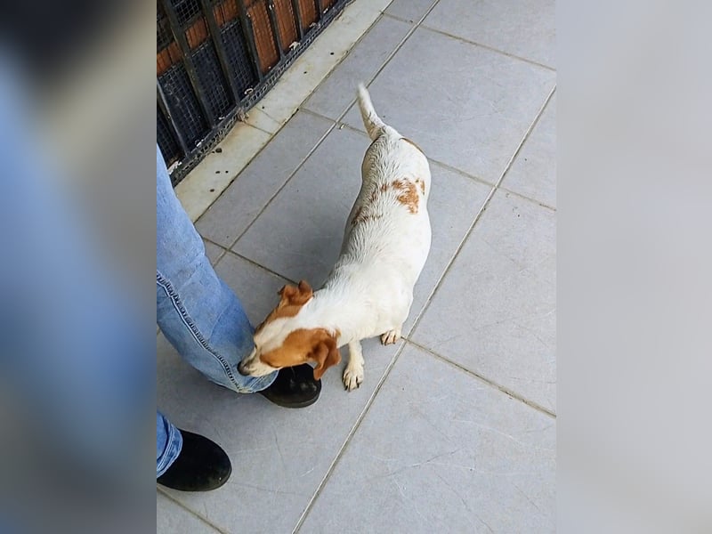 Diana sucht ihre Herzmenschen