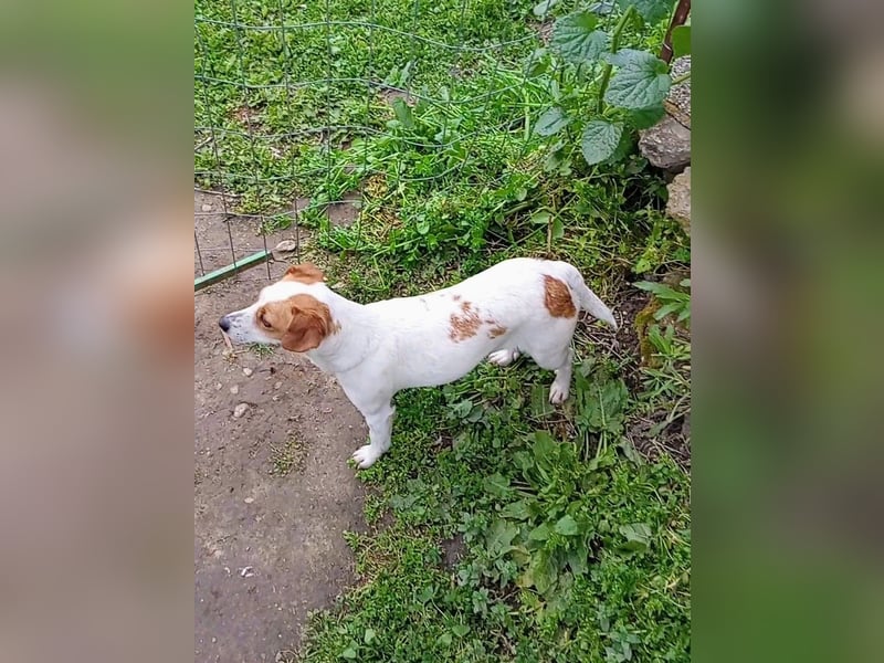 Diana sucht ihre Herzmenschen