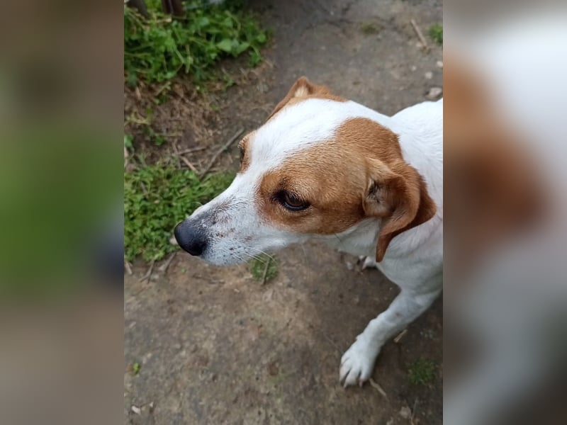 Diana sucht ihre Herzmenschen