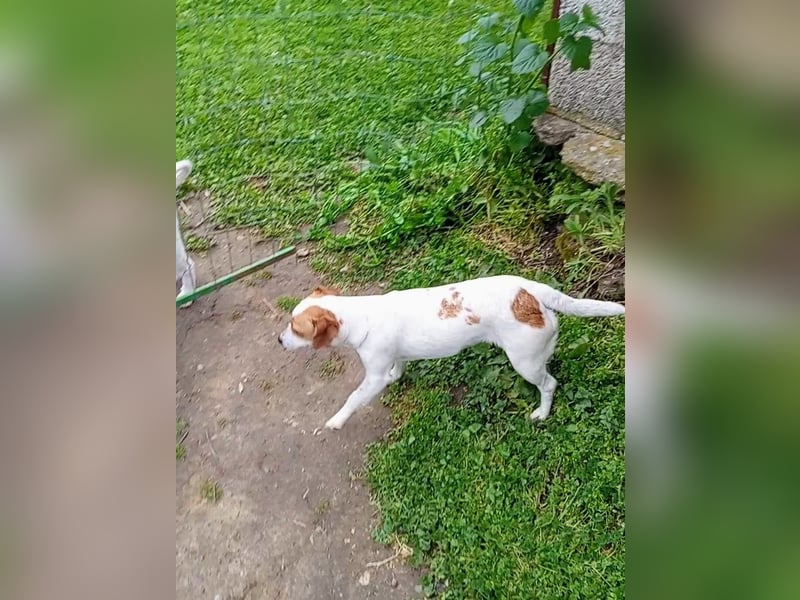 Diana sucht ihre Herzmenschen