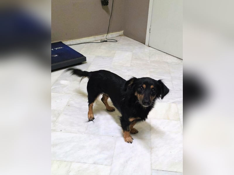 Aili ist bereit für ein neues Leben!