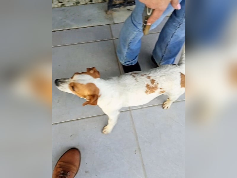 Diana sucht ihre Herzmenschen