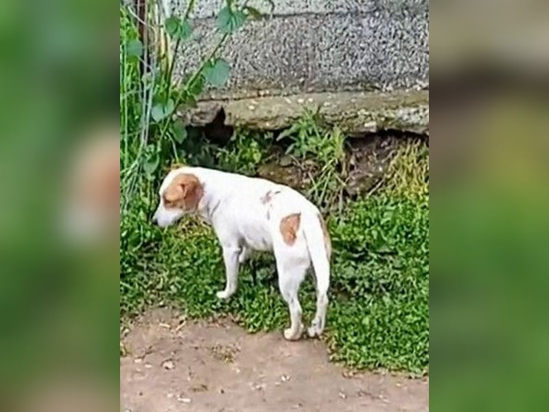 Diana sucht ihre Herzmenschen