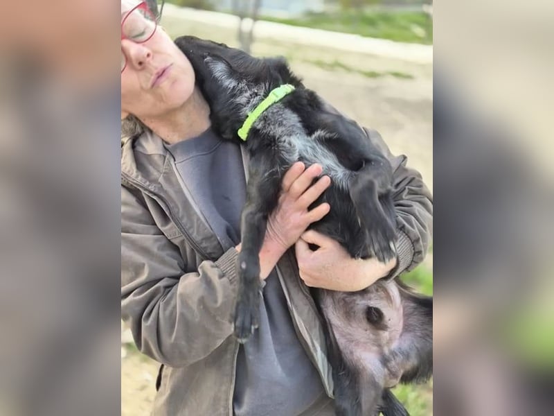 Tuno ,der kleine Schwarze mit dem gewissen Etwas sucht sein Glück