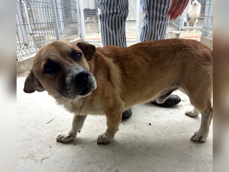 Storm - klein und sanft