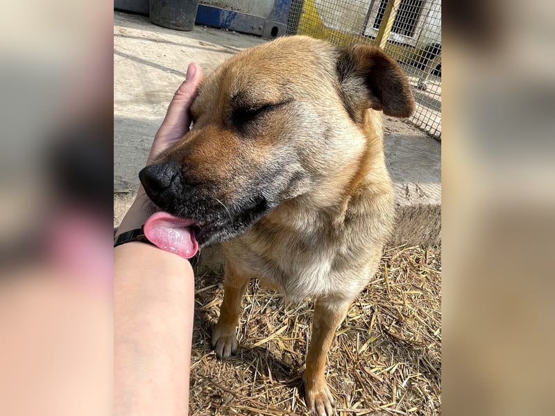 Mia - Schmusebacke ❤️