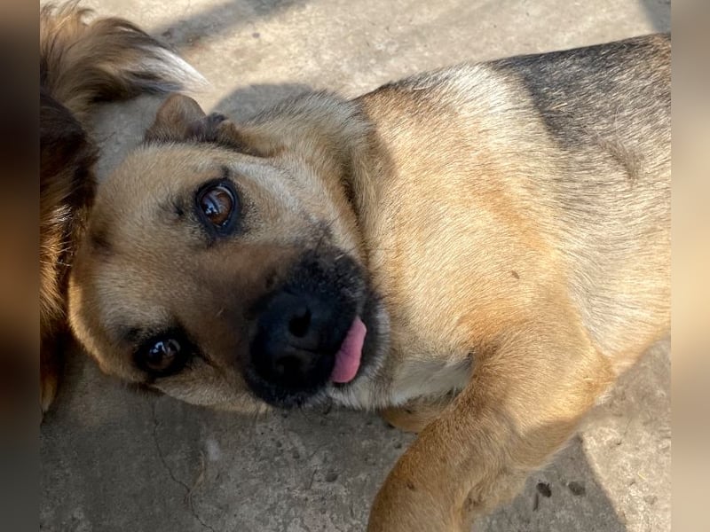 Mia - Schmusebacke ❤️