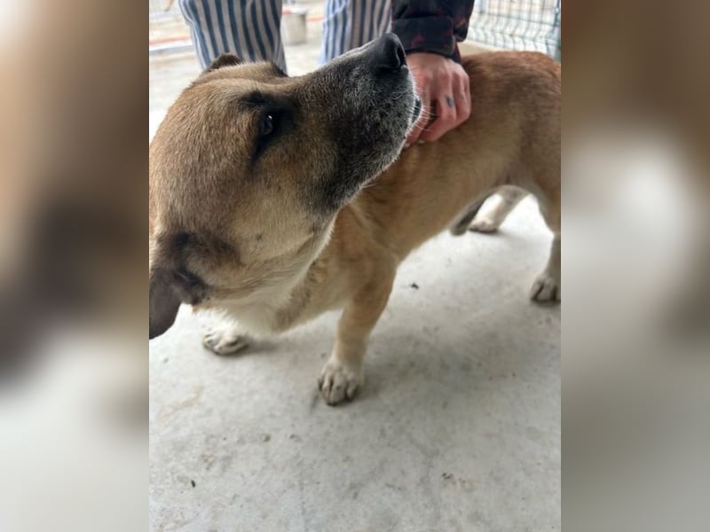 Storm - klein und sanft