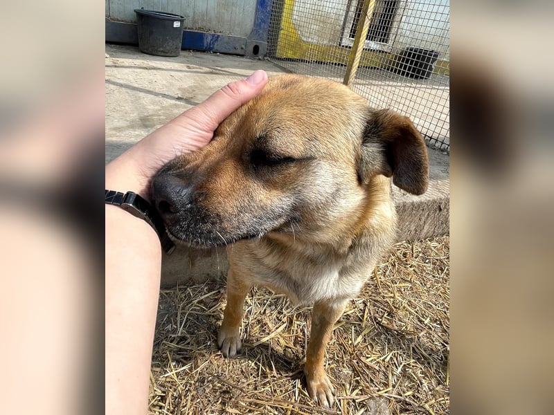 Mia - Schmusebacke ❤️