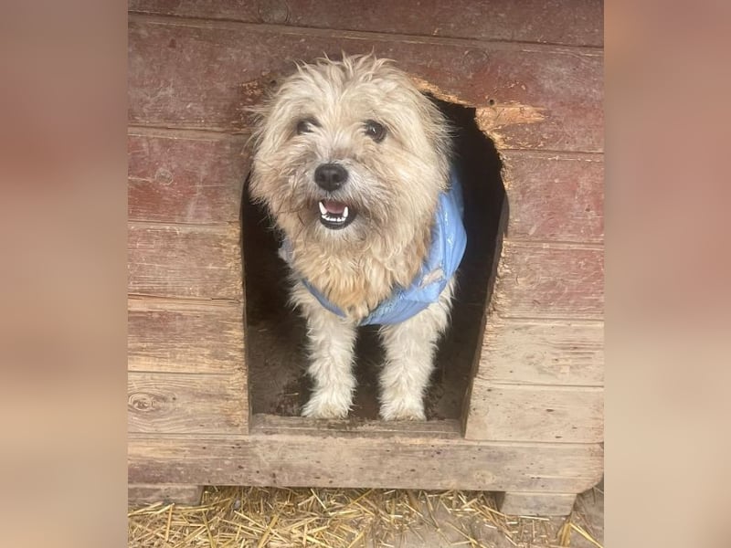 Kymana - einfach lieb!